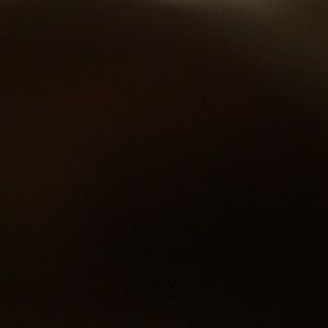 Meet your Posher, Carver